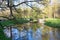 A metal bridge with a wrought-iron grating through the branches of trees, reflected in the water of the Catherine Park pond