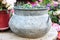 Metal bucket as garden decoration. Vintage flowerpot