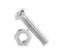 Metal carriage bolt and hex nut on white background