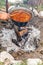 Metal cauldron boiling on a bonfire. Cooking on open fire, camping meal. Traditional preparation of goulash on a campfire