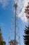 Metal cell tower in the forest against blue sky.