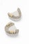 Metal-ceramic dental crowns and bridges. dental prosthetics. artificial teeth. teeth models with crowns