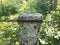 Metal chain embedded in tree trunk with lichen