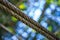 metal chain and wire rope holding bridge in place