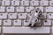 Metal clip waiting to be denominated in the form of the US dollar. Closeup of a white computer keyboard. The concept of earnings