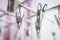 Metal clothes pegs on hanger with pink shirt as background  it looks like little metal heart. Love and valentine day concept