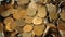 Metal coins falling into a pile, close-up