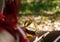 Metal compass lies on a wooden bench in the park in the shade of trees.