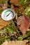 A metal compost thermometer inserted into a pile of composting material.