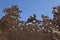 Metal corrosion - Skeleton Coast - Namibia