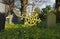 Metal cross in graveyard of Catholic Church, Hanley Swan, Worcestershire, UK