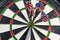 Metal darts have hit the red bullseye on a dart board. Darts Gam