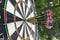 Metal darts have hit the red bullseye on a dart board. Darts Game. Darts arrow in the target center darts in bull`s eye close up.