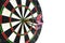 Metal darts have hit the red bullseye on a dart board. Darts Game. Darts arrow in the target center darts in bull`s eye close up