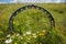 metal detector frame with close-up of the metal detector's search coil, surrounded by a field of wildflowers