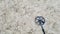 Metal detector on top of wet sand with footprints