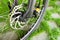 Metal disc brake detail on mountain bicycle