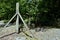 Metal entrance gate in the wood, giving access to the ground of Fortress Schoenenbourg.