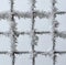 Metal fence covered with frost