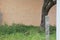 A metal fence installed to an agricultural land in India. Pattern of strainless steel fence is seen in this picture