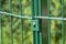 A metal fence made of thin rods painted with green paint