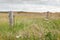 Metal field gate in a meadow