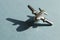 Metal figure of small airplane on the turqouise and light blue geometry background. Conceptual trendy photo of aircraft. Aviation