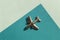 Metal figure of small airplane on the turqouise and light blue geometry background. Flatlay, top view, layout. Aviation