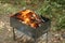 A metal fire pit with crackling flames and burning wood, captured outdoors, possibly during a camping trip