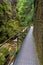 Metal footbridge in the gorge of Kamienczyk river in Poland