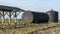 A metal fuel tank in an antique railway yard. Old black Fuel Tank on the village railroad station.