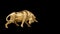 Metal golden bull isolated on black background