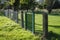 Metal grille fence with green gate in green surroundings