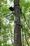 Metal Hang-on Hunting Treestand and Climbing Sticks