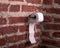 Metal holder toilet paper towel brick wall