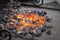 Metal horseshoe is heated in the forge on coals