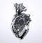 Metal human heart on white background