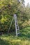 Metal ladder in apple orchard