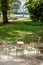 Metal lawn chairs arranged in a circle in a park