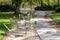 Metal lawn chairs scattered alongside an alley in a public garden