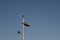 Metal light pole with industrial lighting fixture and blackbird against a blue sky, copy space