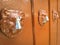 metal lion heads on a brown wooden door