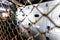 Metal locker view through the bars at factory