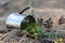 A metal mug with herbal tea turned upside down on the ground