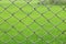 Metal netting, Mesh fence iron Rusty barbed wire detention center security, Chain link fence close up on green nature background,