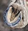 Metal new horseshoe on a cleaned horse`s hoof close-up