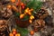 A metal old mug with rosehips, green leaves, spruce branches and cones around stands on a stump in the forest