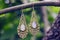 Metal oriental style earrings with mineral moon stone gemstone hanging on tree branch