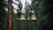 metal Orthodox church bells, a bottom view of the church bells against a background of green pine branches, emphasize