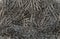 Metal Paperclips background